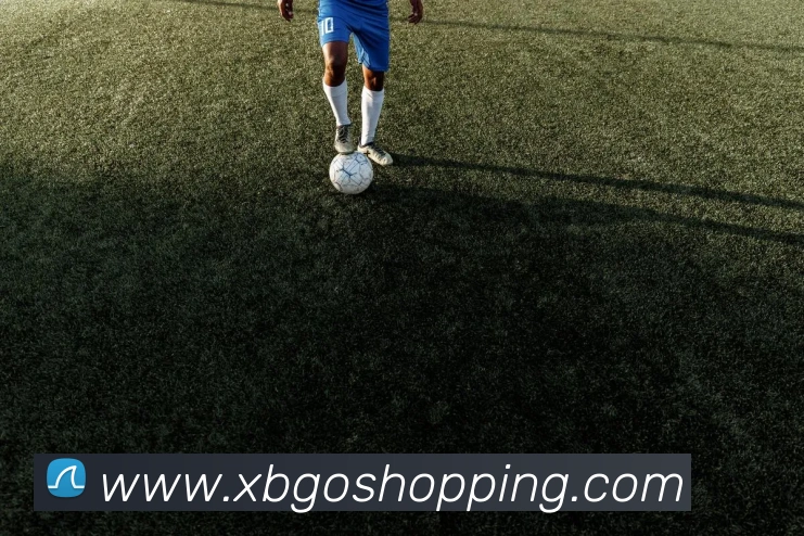 App Interface Preview